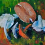 Houby, olej na plátně, karton, 30 × 25 cm, 2008